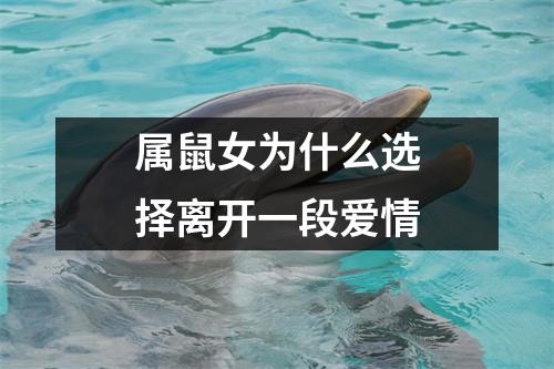 <h3>属鼠女为什么选择离开一段爱情