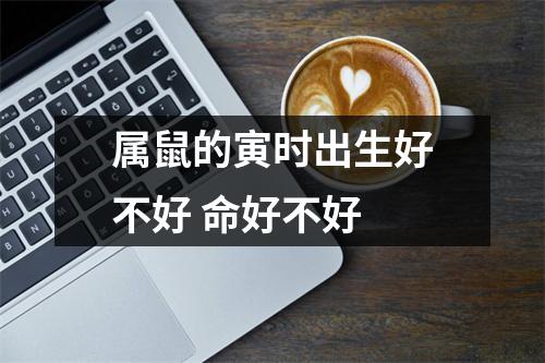 属鼠的寅时出生好不好命好不好