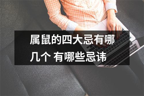 属鼠的四大忌有哪几个有哪些忌讳