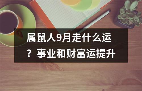 属鼠人9月走什么运？事业和财富运提升