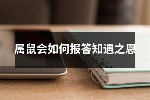 <h3>属鼠会如何报答知遇之恩