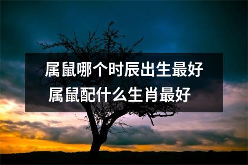 <h3>属鼠哪个时辰出生好属鼠配什么生肖好