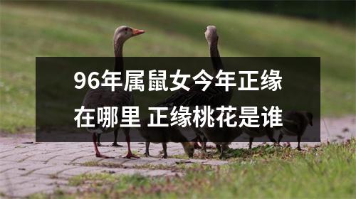96年属鼠女今年正缘在哪里正缘桃花是谁