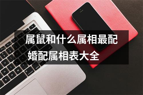 <h3>属鼠和什么属相配婚配属相表大全
