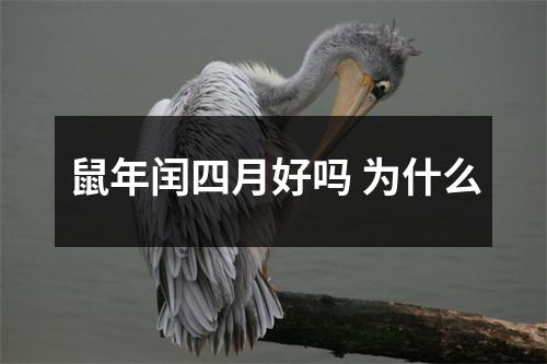 <h3>鼠年闰四月好吗为什么
