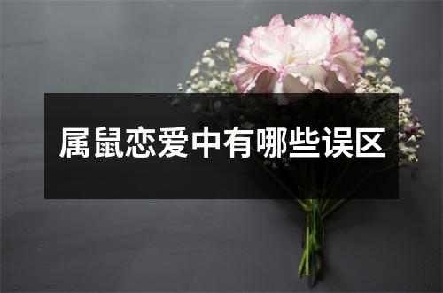 <h3>属鼠恋爱中有哪些误区