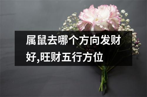 <h3>属鼠去哪个方向发财好,旺财五行方位