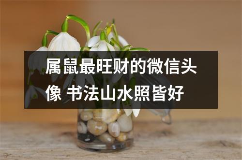 <h3>属鼠旺财的微信头像书法山水照皆好