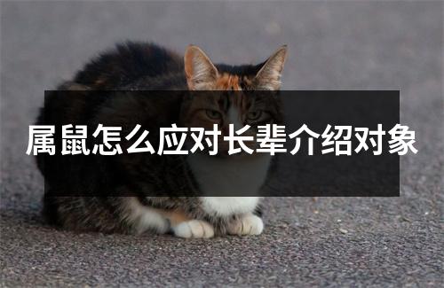 <h3>属鼠怎么应对长辈介绍对象