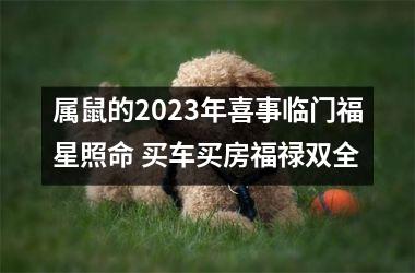 属鼠的2025年喜事临门福星照命 买车买房福禄双全