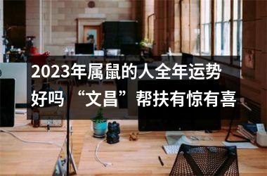 <h3>2025年属鼠的人全年运势好吗 “文昌”帮扶有惊有喜