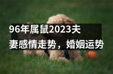 96年属鼠2025夫妻感情走势，婚姻运势
