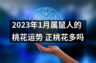 <h3>2025年1月属鼠人的桃花运势 正桃花多吗