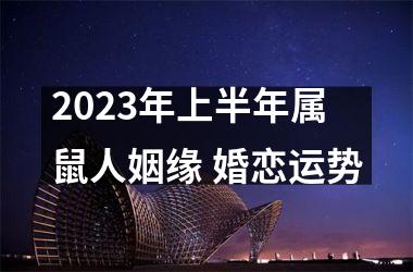 <h3>2025年上半年属鼠人姻缘 婚恋运势