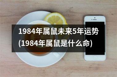 1984年属鼠未来5年运势(1984年属鼠是什么命)