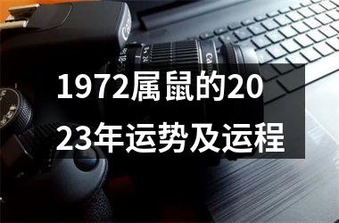 1972属鼠的2025年运势及运程