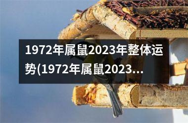 1972年属鼠2025年整体运势(1972年属鼠2025年运势男性)