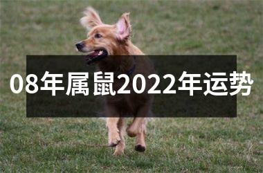 <h3>08年属鼠2025年运势