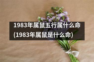 1983年属鼠五行属什么命(1983年属鼠是什么命)