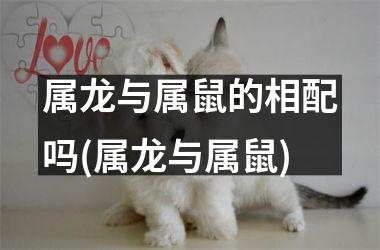 <h3>属龙与属鼠的相配吗(属龙与属鼠)