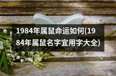 1984年属鼠命运如何(1984年属鼠名字宜用字大全)