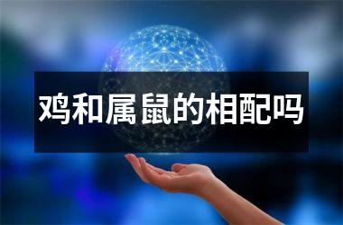<h3>鸡和属鼠的相配吗