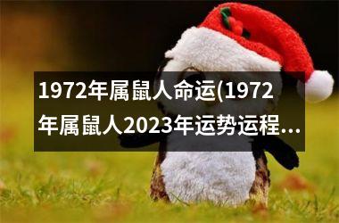 1972年属鼠人命运(1972年属鼠人2025年运势运程每月运程)