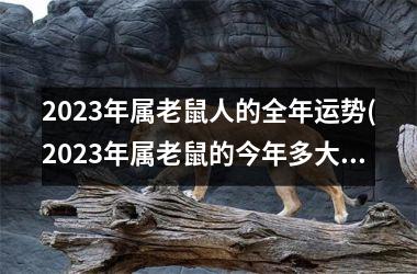 2025年属老鼠人的全年运势(2025年属老鼠的今年多大)