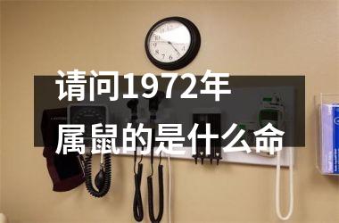 请问1972年属鼠的是什么命