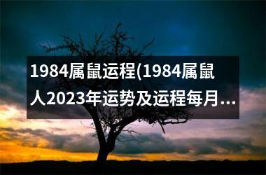 <h3>1984属鼠运程(1984属鼠人2025年运势及运程每月运程)