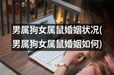 男属狗女属鼠婚姻状况(男属狗女属鼠婚姻如何)