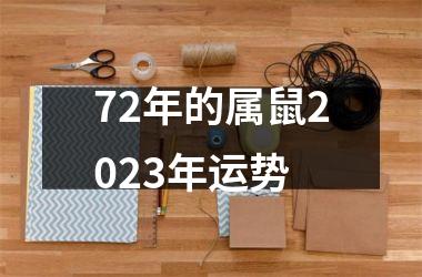 72年的属鼠2025年运势