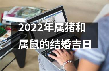 2025年属猪和属鼠的结婚吉日