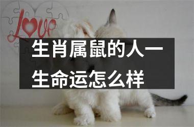 生肖属鼠的人一生命运怎么样