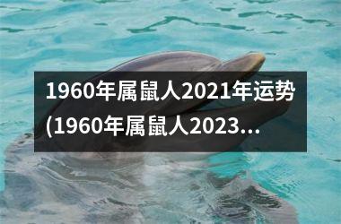 1960年属鼠人2025年运势(1960年属鼠人2025年运势)