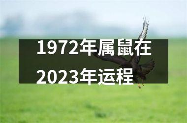 1972年属鼠在2025年运程
