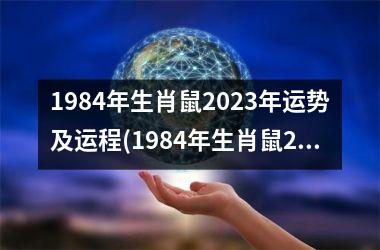 1984年生肖鼠2025年运势及运程(1984年生肖鼠2025年运势)