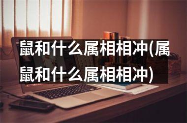 鼠和什么属相相冲(属鼠和什么属相相冲)