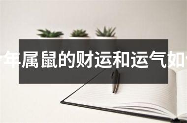 <h3>今年属鼠的财运和运气如何
