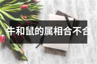 牛和鼠的属相合不合