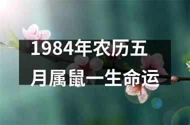 <h3>1984年农历五月属鼠一生命运
