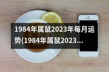 1984年属鼠2025年每月运势(1984年属鼠2025年运势)