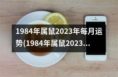 1984年属鼠2023年每月运势(1984年属鼠2023年运势)