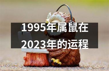 1995年属鼠在2023年的运程