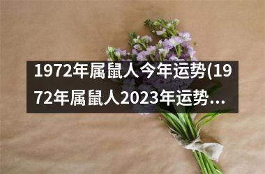 1972年属鼠人今年运势(1972年属鼠人2023年运势运程每月运程)