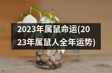 2023年属鼠命运(2023年属鼠人全年运势)