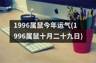 1996属鼠今年运气(1996属鼠十月二十九日)