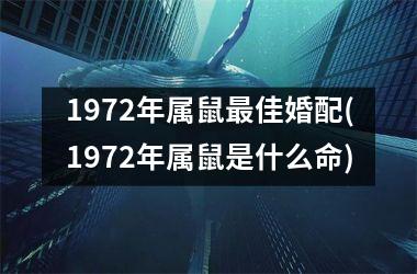 1972年属鼠最佳婚配(1972年属鼠是什么命)