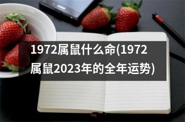 1972属鼠什么命(1972属鼠2023年的全年运势)