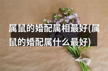 属鼠的婚配属相最好(属鼠的婚配属什么最好)